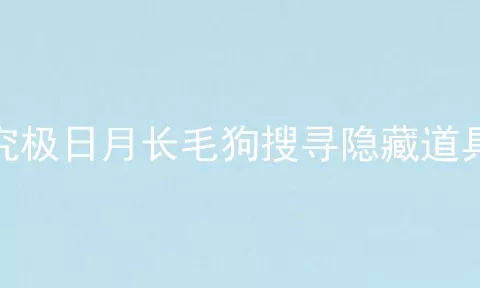 究极日月长毛狗搜寻隐藏道具