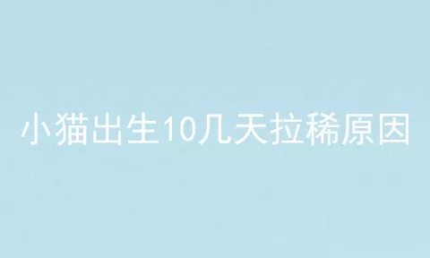 小猫出生10几天拉稀原因