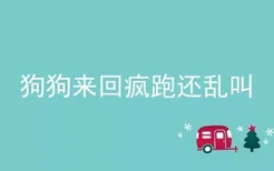 狗狗来回疯跑还乱叫