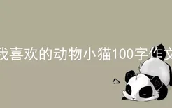 我喜欢的动物小猫100字作文