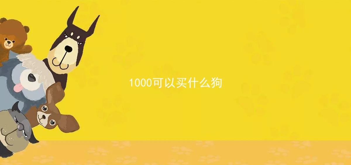 1000可以买什么狗