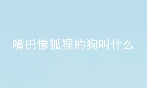 嘴巴像狐狸的狗叫什么