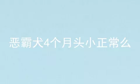 恶霸犬4个月头小正常么