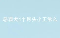 恶霸犬4个月头小正常么