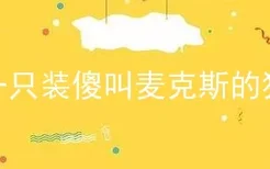 一只装傻叫麦克斯的狗