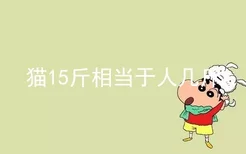 猫15斤相当于人几斤