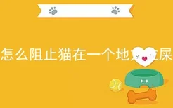 怎么阻止猫在一个地方拉屎