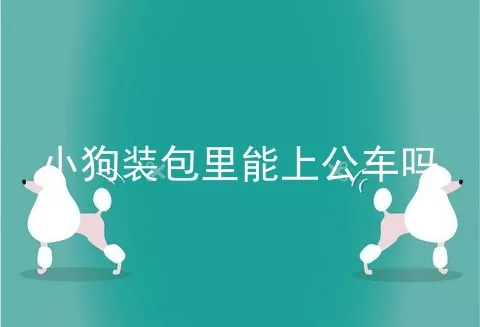 小狗装包里能上公车吗