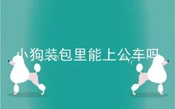 小狗装包里能上公车吗