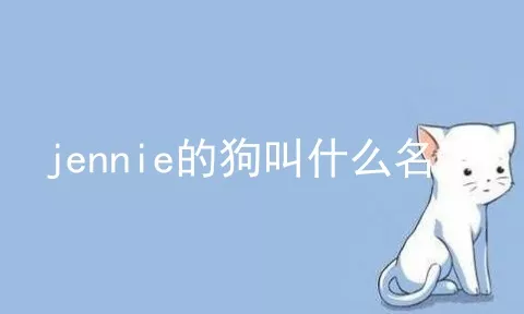 jennie的狗叫什么名字