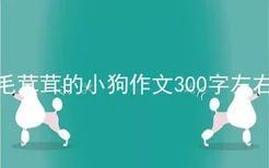 毛茸茸的小狗作文300字左右