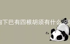 狗下巴有四根胡须有什么说法