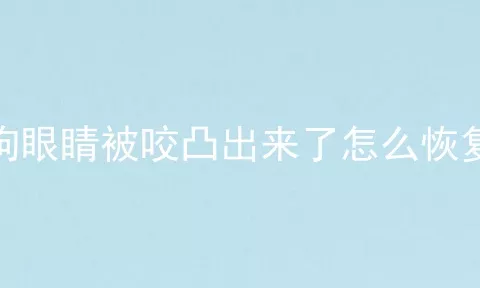 狗眼睛被咬凸出来了怎么恢复