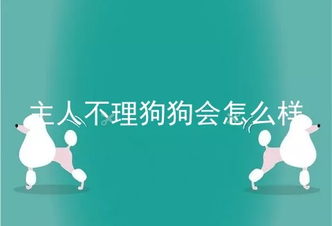 主人不理狗狗会怎么样