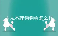 主人不理狗狗会怎么样