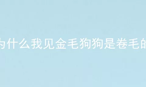 为什么我见金毛狗狗是卷毛的