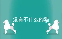 没有不什么的猫