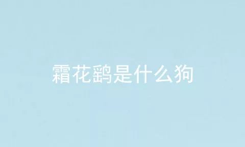 霜花鹞是什么狗