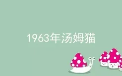 1963年汤姆猫