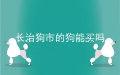 长治狗市的狗能买吗