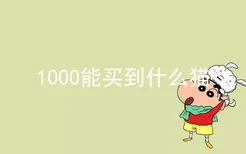 1000能买到什么猫