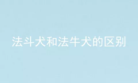 法斗犬和法牛犬的区别