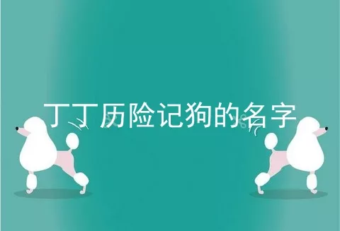 丁丁历险记狗的名字