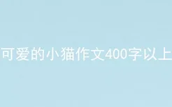 可爱的小猫作文400字以上