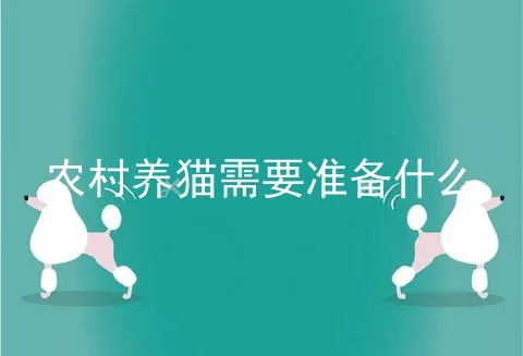 农村养猫需要准备什么