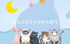 母马犬名字大全中文霸气