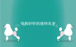 母狗好听的独特名字