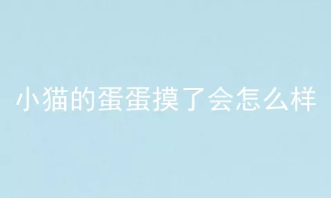 小猫的蛋蛋摸了会怎么样