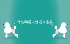 什么狗通人性适合家养