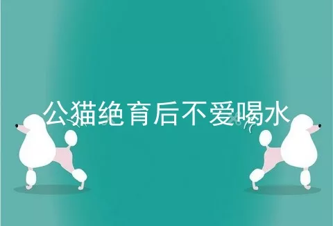 公猫绝育后不爱喝水