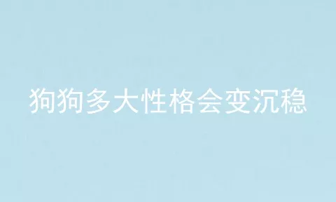 狗狗多大性格会变沉稳