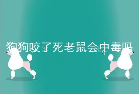 狗狗咬了死老鼠会中毒吗