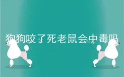 狗狗咬了死老鼠会中毒吗