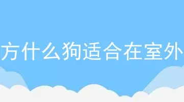 北方什么狗适合在室外养