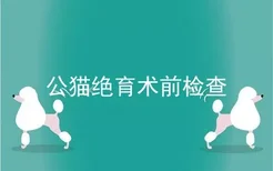 公猫绝育术前检查