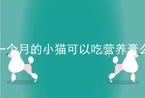 一个月的小猫可以吃营养膏么