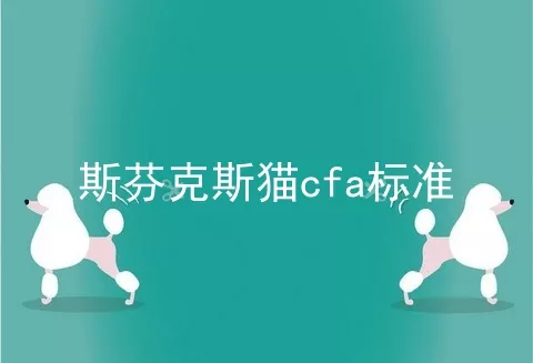 斯芬克斯猫cfa标准