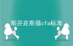 斯芬克斯猫cfa标准