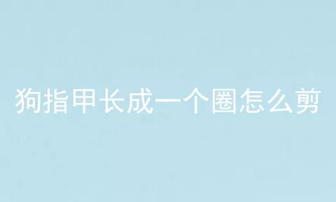 狗指甲长成一个圈怎么剪