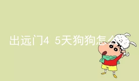 出远门4 5天狗狗怎么办