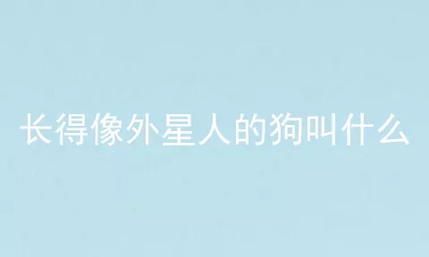 长得像外星人的狗叫什么