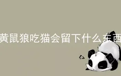 黄鼠狼吃猫会留下什么东西