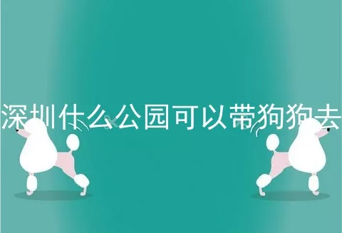 深圳什么公园可以带狗狗去