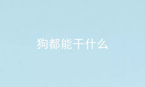 狗都能干什么