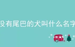 没有尾巴的犬叫什么名字