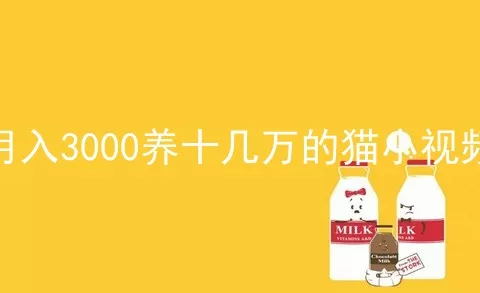 月入3000养十几万的猫小视频